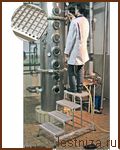  Krause  5-  
