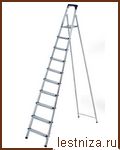   Sarayli 10