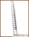     Centaure  317