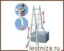   TeleMatic