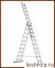   Sarayli 313