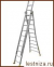       Centaure  38